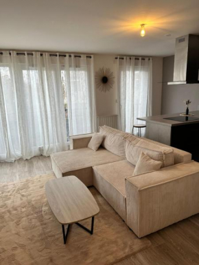 Appartement cosy et charmant Vert-saint-Denis